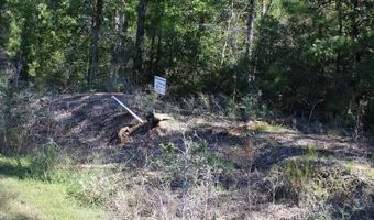 Lot 17 Hillside Dr, Anacoco, LA 71403