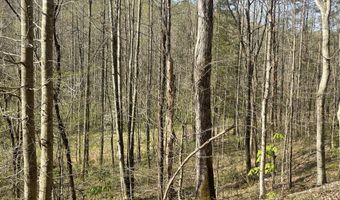 9999 Eastridge Branch Rd, Barbourville, KY 40906