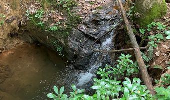 230 Harmony Vly, Alto, GA 30510