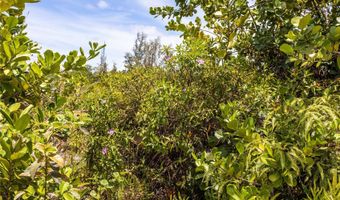 15-925 LEMIWAI Rd, Keaau, HI 96749