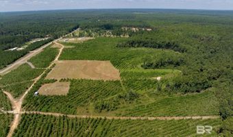 0 Horseneck Rd, Bay Minette, AL 36507