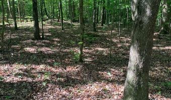 7700 Poole TRACT B, Alto, GA 30510