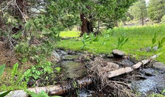 0 California Pines Blvd, Alturas, CA 96101
