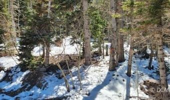 653 N HWY 143, Brian Head, UT 84719