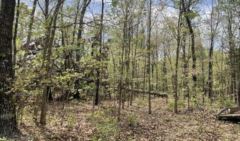 State Hwy N Tract G, Ava, MO 65608