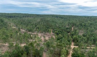Tract 4 Hidden Valley, Annapolis, MO 63628