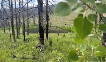 2493 Greer Rd, Bellvue, CO 80512