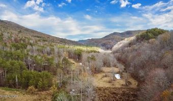 1693 Steve Brown Rd, Bean Station, TN 37708