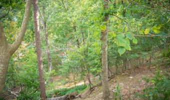 0 Catfish St, Alexander, AR 72022
