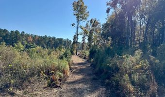 TBD Binnicker Bridge Road, Bamberg, SC 29003