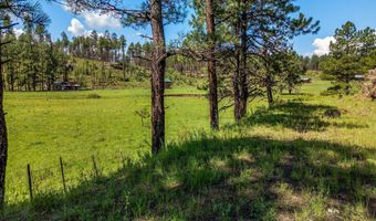 8523 WILTBANK Rd, Alpine, AZ 85920