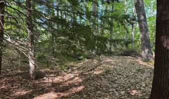 Peaked Hill Road, Bristol, NH 03222