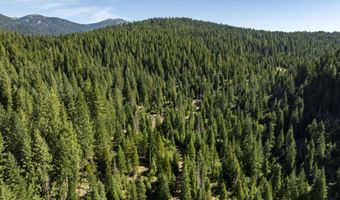Hungry Ridge, Ashland, OR 97520