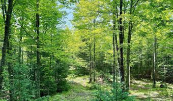 TBD Net River, Amasa, MI 49903