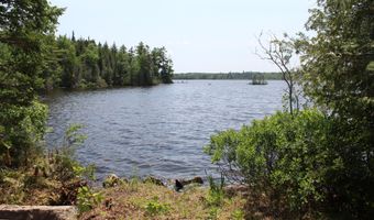 189 E Shore Rd, Benedicta, ME 04733