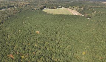 RT 317, Georgetown, DE 19947