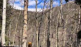 227 Roberts Rd, Alma, CO 80420
