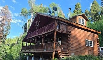 1407 Clarke Mountain Ln, Antonito, CO 81120