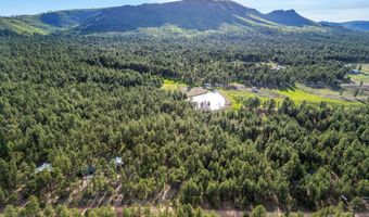 15 County Road 2083, Alpine, AZ 85920