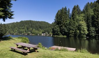 10265 RIDGE VIEW Ter, Birkenfeld, OR 97016