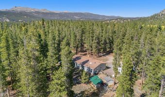 272 Severance Lodge Rd, Black Hawk, CO 80422