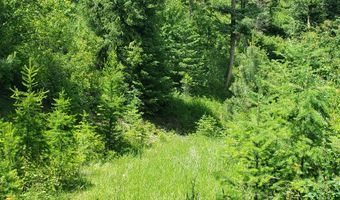 Lot 20 Arlee Pines, Arlee, MT 59821