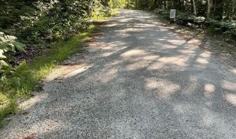 Birch View Drive lot # 0, Albany Twp., ME 04217