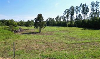 NW County Road 274, Altha, FL 32421
