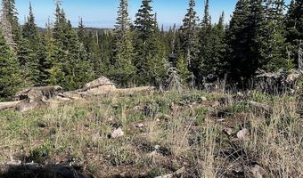 115 S Olympic Dr, Brian Head, UT 84719