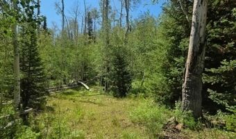 40 Acres Summit Mountain Rd, Brian Head, UT 84719