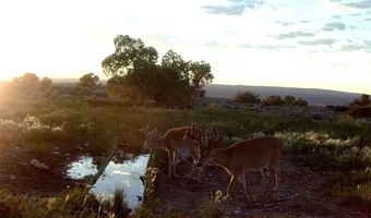 Stagecoach Spur W unit 935-3 935-3, Belfry, MT 59008