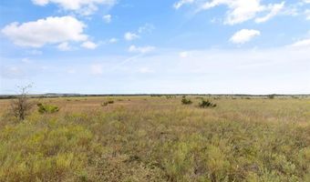 Tbd County Road 210, Hico, TX 76457