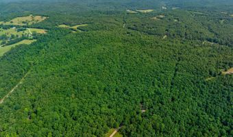 Cave Creek Road, Batesville, AR 72501