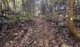 18 6 Acres Cave Branch Rd, Allardt, TN 38504