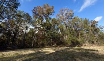 0 Progress Road Rd, Beaumont, MS 39423