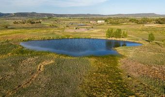 777 County Road 977, Arboles, CO 81147