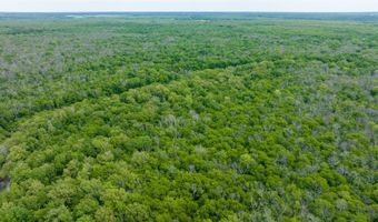 CR 4630, Annona, TX 75550