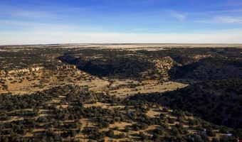000 County Road 40.2 Poitry Canyon Ranch, Branson, CO 81027