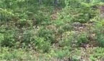 3 Mossy Ridge Rd, Belfast, ME 04915