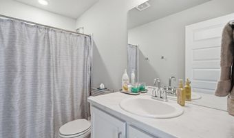 610 Apache Trl B3, Ault, CO 80610