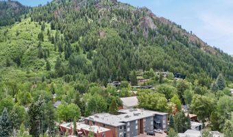 124 W Hyman Ave 3B, Aspen, CO 81611