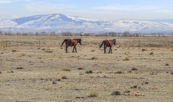 347 WILD HORSE Rnch, Laramie, WY 82070