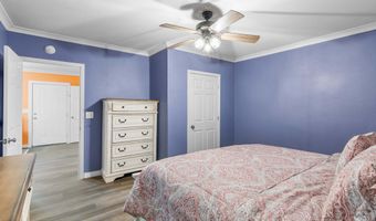 246 Cabbage Rd, Blaine, TN 37709