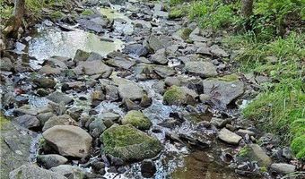 Shaver Hollow, Andes, NY 13731