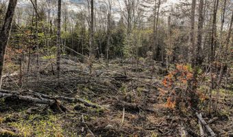 Lot 39 Sawyer Brook Road, Andover, ME 04216