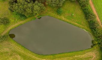 000 Almo Shiloh Rd, Almo, KY 42020
