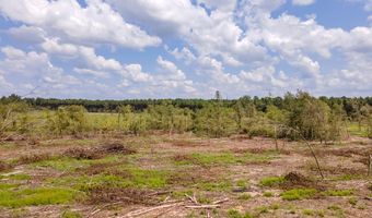R53358 Tract 3 Hwy 94, Apple Springs, TX 75926