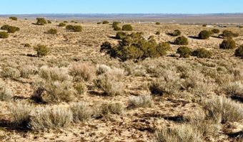 N7009 40 Acres, Chambers, AZ 86502