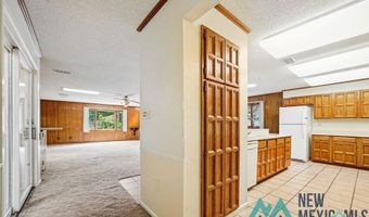 1212 Landsun Dr, Carlsbad, NM 88220