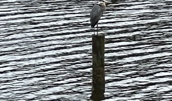 38884 COLLINWOOD Dr, Abell, MD 20606